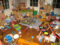 Ultimate Organization Pack - 30 Toy Tamer Bags- Saves $75